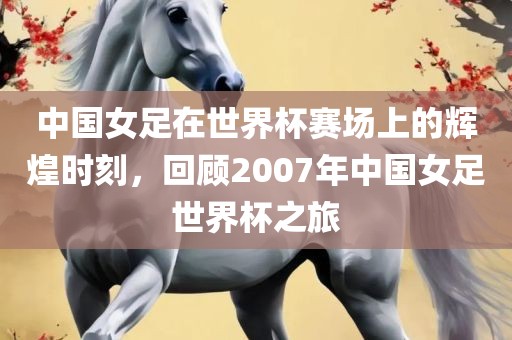 中国女足在世界杯赛场上的辉煌时刻，回顾2007年中国女足世界杯之旅