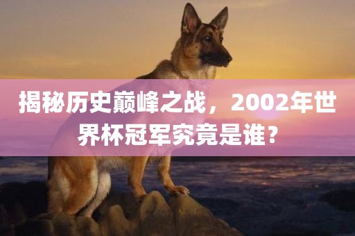揭秘历史巅峰之战，2002年世界杯冠军究竟是谁？常熟市高丰毛纺织品有限公司