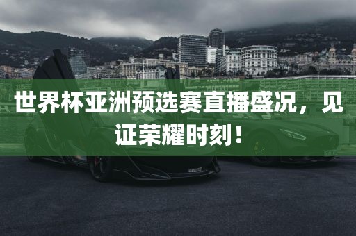 世界杯亚洲预选赛直播盛况，见证荣耀时刻！
