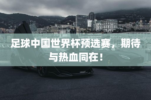 足球中国世界杯预选赛，期待与热血同在！