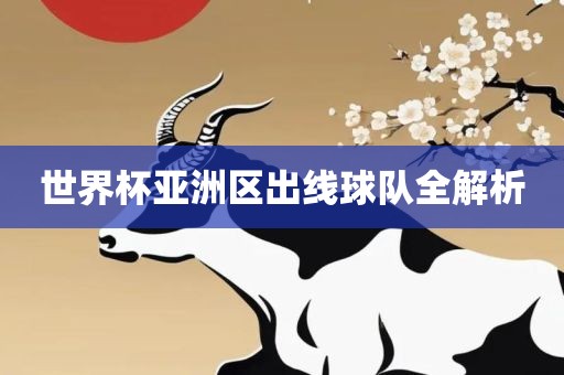 世界杯亚洲区出线球队全解析