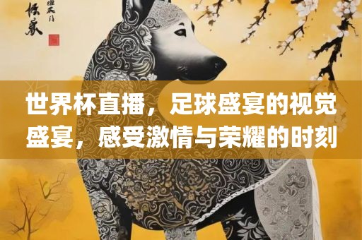 世界杯直播，足球盛宴的视觉盛宴，感受激情与荣耀的时刻