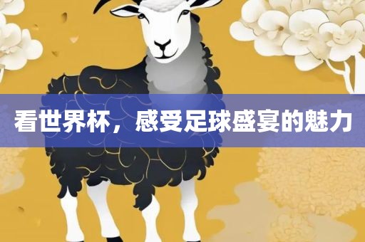 看世界杯，感受足球盛宴的魅力
