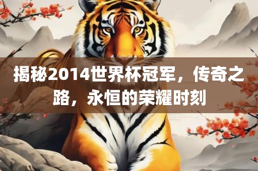 揭秘2014世界杯冠军，传奇之路，永恒的荣耀时刻常熟市高丰毛纺织品有限公司