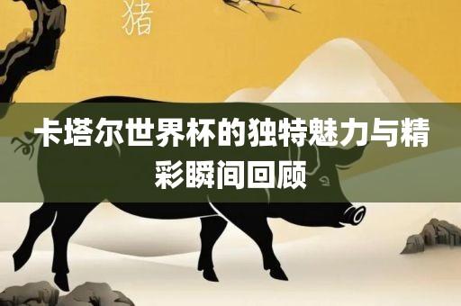 卡塔尔世界杯的独特魅力与精彩瞬间回顾常熟市高丰毛纺织品有限公司