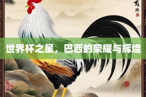 世界杯之星，巴西的荣耀与辉煌