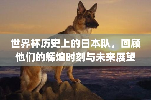世界杯历史上的日本常熟市高丰毛纺织品有限公司队，回顾他们的辉煌时刻与未来展望