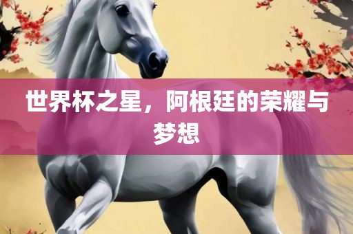 世界杯之星，阿根廷的荣耀与梦想