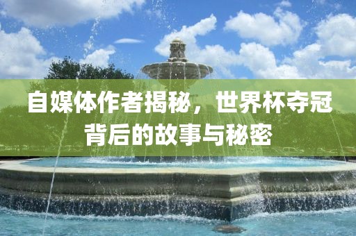 自媒体作者揭秘，世界杯夺冠背后的故事与秘密