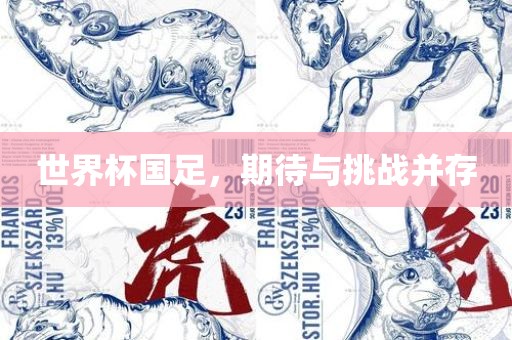 世界杯国足，期待与挑战并存