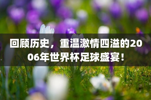 回顾历史，重温激情四溢的2006年常熟市高丰毛纺织品有限公司世界杯足球盛宴！