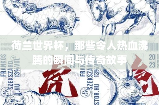 荷兰世界杯，那些令人热血沸腾的瞬间与传奇故事常熟市高丰毛纺织品有限公司