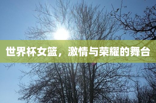 世界杯女篮，激情与荣耀常熟市高丰毛纺织品有限公司的舞台