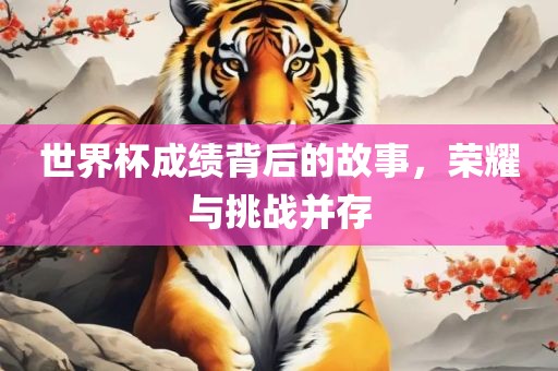 世界杯成绩背后的故事，荣耀与挑战并存