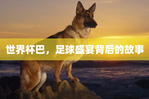 世界杯巴，足球盛宴背后的故事常熟市高丰毛纺织品有限公司