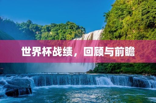 世界杯战绩，回顾与前瞻