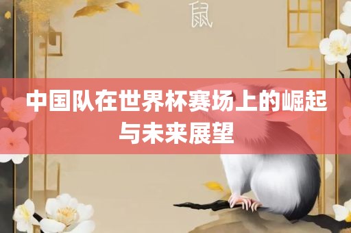 中国队在世界杯赛场上的崛起与未来展望常熟市高丰毛纺织品有限公司