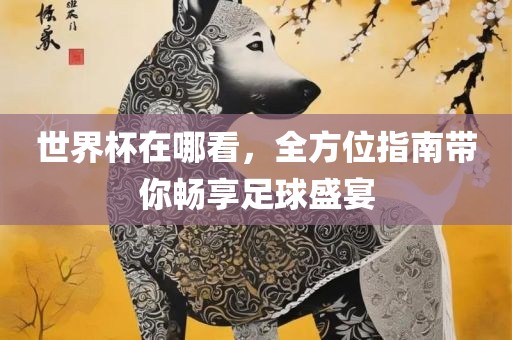 世界杯在哪看，全方常熟市高丰毛纺织品有限公司位指南带你畅享足球盛宴
